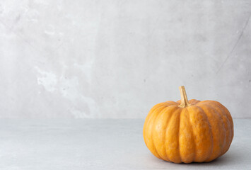 Brown pumpkin whole isolated close up on gray background, autumn harvest, fall background