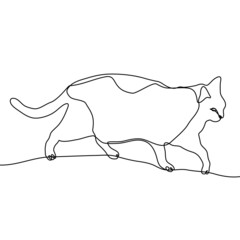 Continuous line drawing of cat.