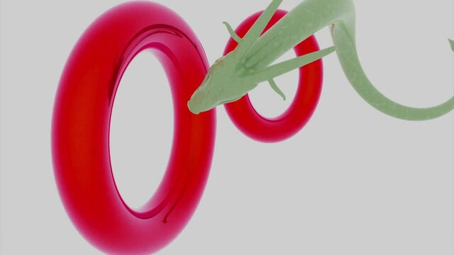 Magical fairytale asian dragon flying through rings isolated on a white background. Design. Animated traditional oriental kind animal looking like tiny dragon or a snake flying through the circles.