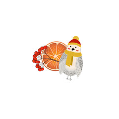 gray bird in a red cap and an orange orange and a rowan branch