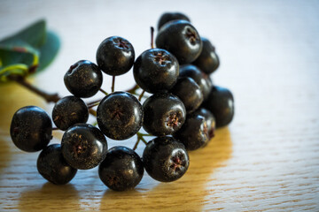 aronia chokeberry