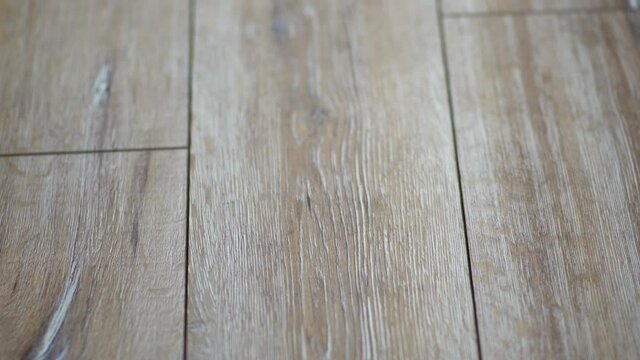 Closeup of seamless oak laminate parquet floor texture