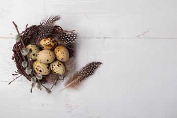 Naklejka na ściany i meble nest with quail eggs , feathers and willow twigs on a white background