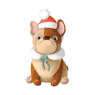 Funny french bulldog dressed as Santa Claus. Christmas illustration for cards, stickers, decorations.