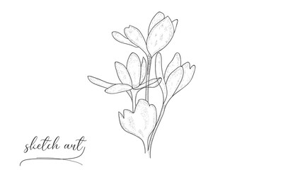 Flower sketch art vector illustration design. 