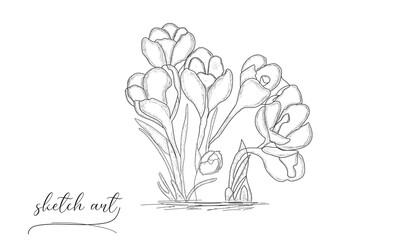 Hand-drawn beautiful flower sketch art illustration. 