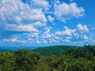 clouds over the forest