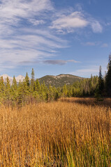 Autumn in the Rocky Mountains in Banff, AB