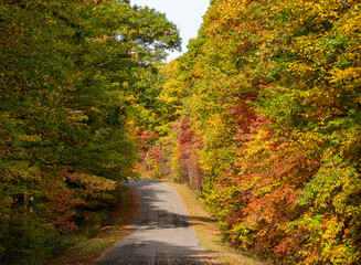 Paved road in the Coopers Rock state park in the autumn near Cheat Lake near Morgantown, WV