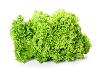 Fresh green lettuce isolated on white background