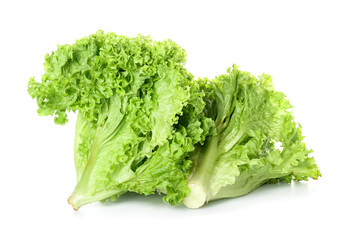 Bunches of green lettuce on white background