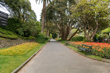 Botanical Gardens, Wellington, New Zealand