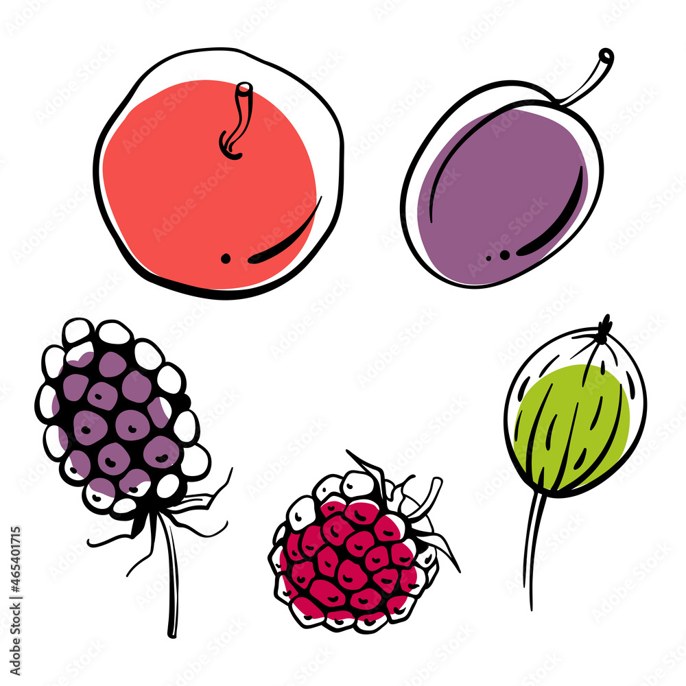 Wall mural set of garden fruits and berries. colorful black line sketch collection isolated on white background