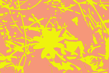 Schizzi di giallo su rosa