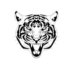 illustration on tiger t-shirt