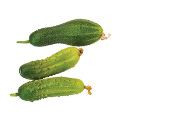 Close up view of green cucumbers isolated on white background. 