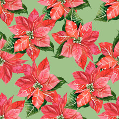 Seamless pattern with hand drawn poinsettia flowers and floral branches and berries, christmas hand drawn watercolor elements on green background