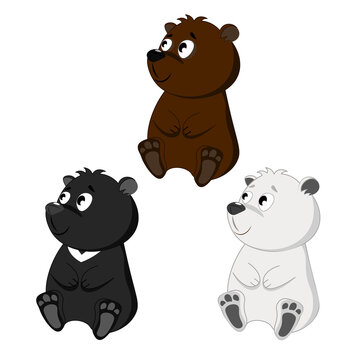 A set of cute cubs: polar bear, brown bear, grizzly
