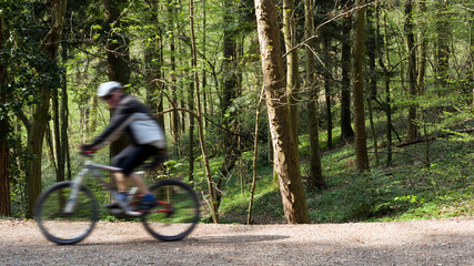 Biker auf Waldweg