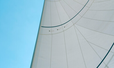 Open sail, good wind, blue sky maritime yachting background, nautical, regatta