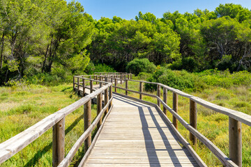 Fototapeta na wymiar Runway in the Natural Park of S´Albufera des Grau, Menorca, Balearic islands, spain