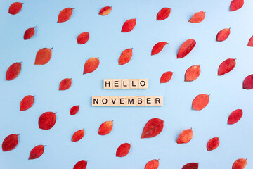 Words Hello November. Wooden blocks with lettering on light blue background decorated with autumn leaves. Goodbye fall concept. Top view, flat lay