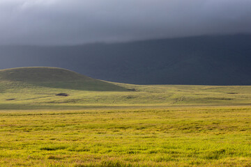 Sunrise on the Savanna on a  Foggy Morning in Ngorongoro Crater, Tanzania