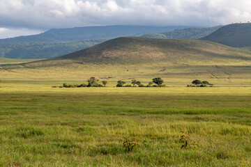 Softly Rounded Hills and Grassland in Ngorongoro Crater, Tanzania, Africa
