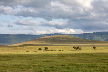 Obraz premium A Cloudy Day Over the Savannah and Hilly Grasslands of Ngorongoro Crater, Tanzania, Africa