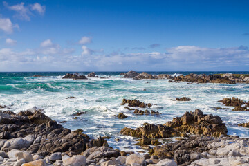 The Churning Waves of the Pacific Ocean in Monterey Bay on a Spring Day, Pacific Grove, California
