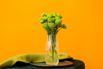 Vase with beautiful green chrysanthemum flowers on color background