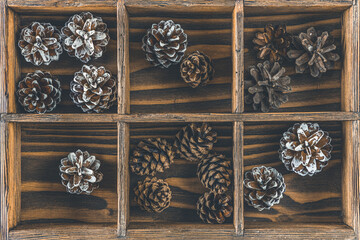 Christmas or New Year background with pine cones in wooden box with cells. Winter concept, top view
