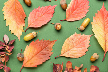 Acorns and autumn leaves on green background, closeup