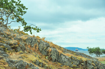Grassy cliffside overlooking ocean at Pipers Lagoon Park, Nanaimo, British Columbia, Canada