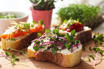 Toasts with microgreens on the table. Healthy food, vegan food and dieting concept