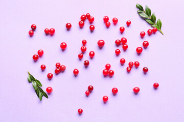 Ripe lingonberry on lilac background