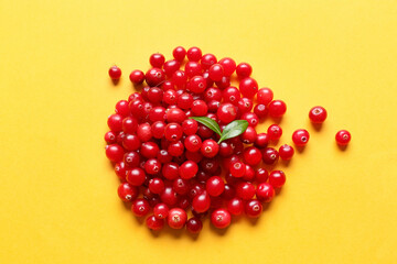Heap of ripe lingonberry on color background