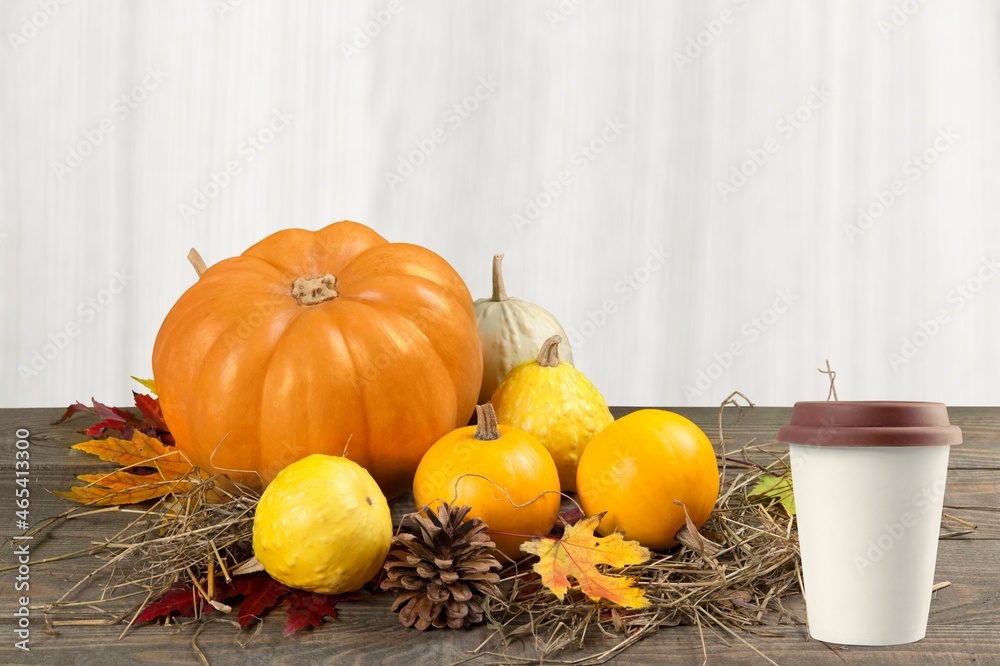 Poster Autumn still life with cup of tea, pumpkins.Thanksgiving day or halloween concept.