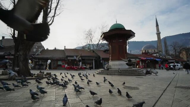 Sarajevo, Bosnia and Herzegovina - 20 October, 2019: Slow motion of pigeons on Sebilj wooden fountain in Bascarsija square - old town Sarajevo