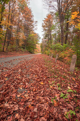 road with stone post in autumn with fall foliage