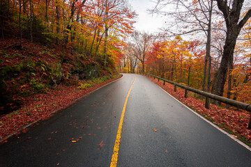 rural mountain road in fall foliage 