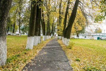 Fototapeta na wymiar Tree avenue or tree alley in n Alexandrov Kremlin - Russia