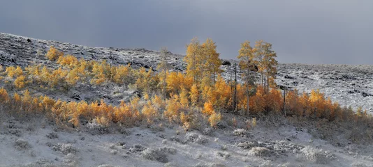 Fotobehang Steens Mountain Fall Colors © Kevin