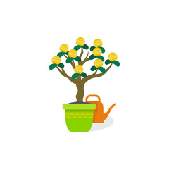 Money tree with gold coins on a white background.
