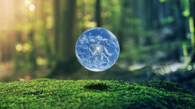 Photo Realistic Earth Design in Moss Forrest Background Motion Graphic Animation