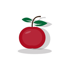 Red apple icon. vector red apples that are split in half from the white background. Premium Vector