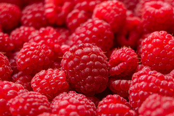 Ripe fresh sweet raspberries close-up. Selective focus.