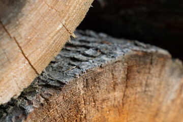 bale drewna jodłowego. 