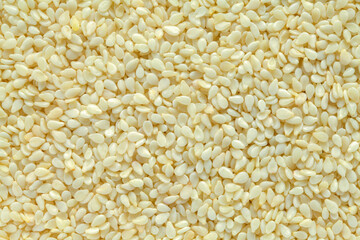 Sesame Seeds
