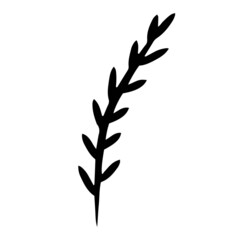 Vector twig. Illustration for invitation cards. Design for congratulations. The element for the design.